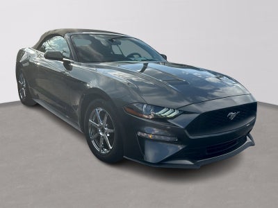 2019 Ford Mustang EcoBoost